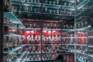 Customized Luz Stadium and Guided Museum Tour