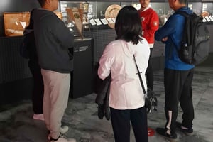 Customized Luz Stadium and Guided Museum Tour