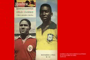 Customized Luz Stadium and Guided Museum Tour