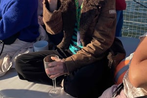 Day and Sunset Tour on the Tagus River