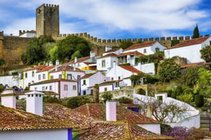 Dinosaur Footprints, Caves, and Obidos Tour
