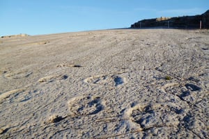 Dinosaur Footprints, Caves, and Obidos Tour