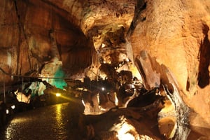 Dinosaur Footprints, Caves, and Obidos Tour