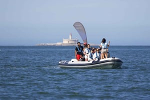 Dolphin Watching with Marine Biologist - Small Group