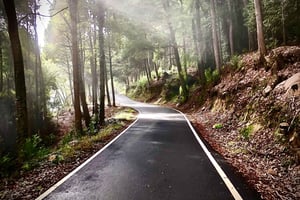 E-bike Trip from the Sintra Mountains to Cascais Sea