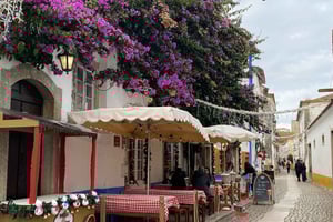 Fátima, Batalha, Nazaré & Obidos Small-Group Tour