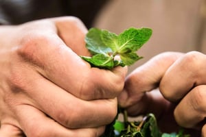 Food and Culture 3-Hour Walking Tour