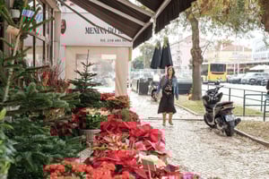 Lisbon: Food Tour in the most Authentic Quarter