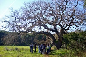 Hiking in Arrábida Natural Park