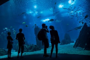 Hop-on Hop-off Bus and Boat with Oceanarium Ticket