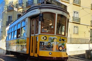 Layover Tour with Airport Pickup and Drop-Off