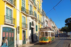 Layover Tour with Airport Pickup and Drop-Off