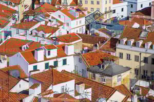 Layover Tour with pickup and dropoff up to you