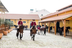 Morning of Equestrian Art with Lusitano Horses
