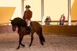 Morning of Equestrian Art with Lusitano Horses