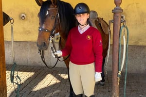 Morning of Equestrian Art with Lusitano Horses