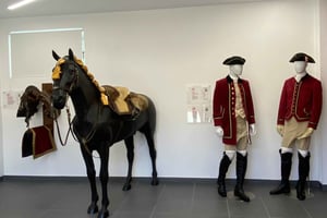 Morning of Equestrian Art with Lusitano Horses