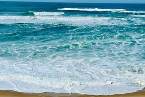 Lisbon Natural Coastal Adventure