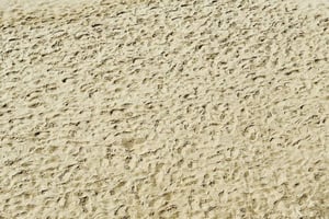 Lisbon Natural Coastal Adventure