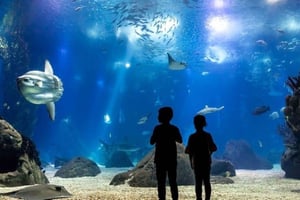 Oceanarium + Cable Car Ticket