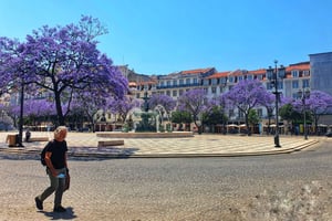 Old Town Tuk Tuk Tour