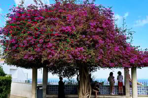 Old Town Tuk-Tuk Tour