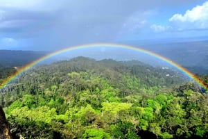 Pena Palace, Moorish Castle, Qta. Regaleira & Sintra