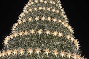 Portuguese Christmas Tour with Food and Drinks