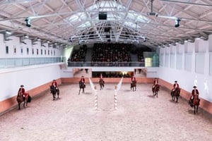 Portuguese Riding School Trainig with Lusitano Horse