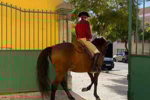 Portuguese Riding School Trainig with Lusitano Horse