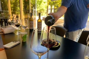 Private All Inclusive Setúbal & Arrábida Wine Tour