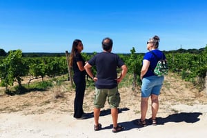 Private All Inclusive Setúbal & Arrábida Wine Tour