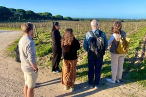 Private All Inclusive Setúbal & Arrábida Wine Tour