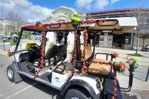 Private City Tour by Eco-friendly Tuk Tuk