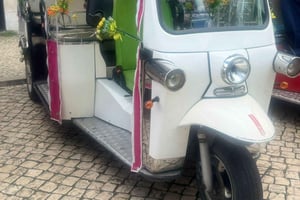 Private City Tour by Eco-friendly Tuk Tuk