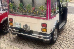 Private City Tour by Eco-friendly Tuk Tuk