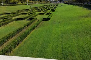 Private Eco Tuk-Tuk Tour for 2 Hours