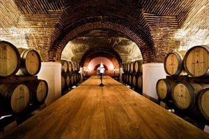 Private Full Day Evora & Alentejo Wine Tour