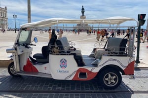 Private Guided Tour by Electric Tuk Tuk