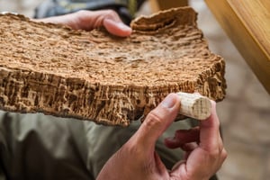 Lisbon Private Setúbal Region Wine Tasting Tour