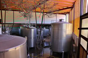 Lisbon Private Setúbal Region Wine Tasting Tour