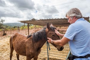 Lisbon Private Setúbal Region Wine Tasting Tour