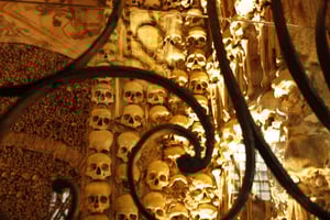 Private Tour Evora with Wine Tasting at the Cartuxa