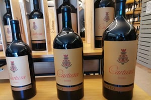 Private Tour Evora with Wine Tasting at the Cartuxa