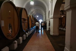 Private Tour Evora with Wine Tasting at the Cartuxa