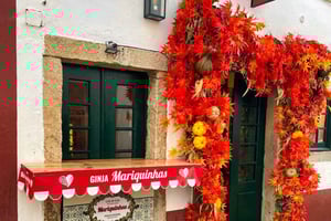 Private Transfer to Porto with stops until 3 cities