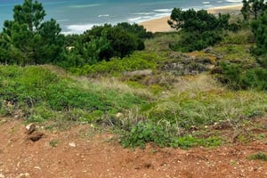 Private Transfer to Porto with stops until 3 cities