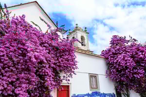 Priver Guided Tuk Tuk Tour With Hotel Pickup