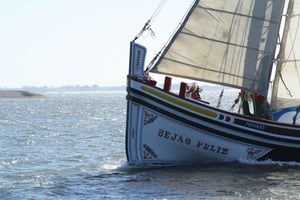 River Tagus Sightseeing Cruise in Traditional Vessel