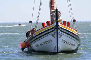 River Tagus Sightseeing Cruise in Traditional Vessel